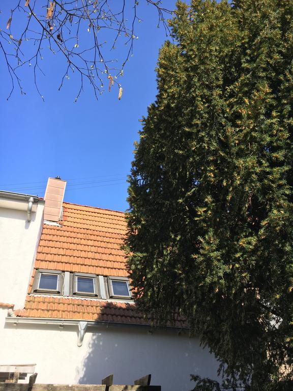Pension Haus Baron 2 Friedrichsfeld Edingen-Neckarhausen Kültér fotó